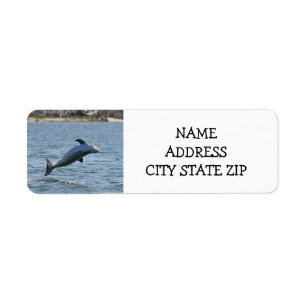 ETIQUETA **ETIQUETAS DE DIRECCIONES DE DELFINES DELIGERADOS
