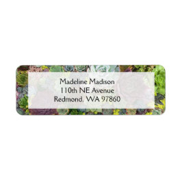 Etiqueta Éxitos verdes