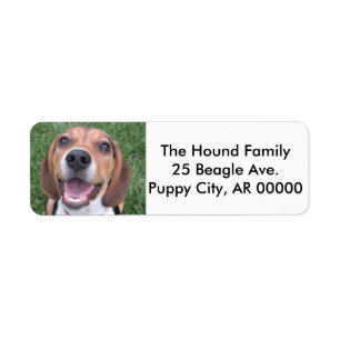 Etiqueta Face Beagle