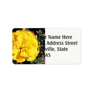 Etiqueta Falln Sunshine Floral