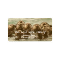 Familia Sea Otter
