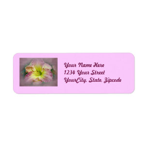 Etiqueta Fancy Pink Daylily Blossom