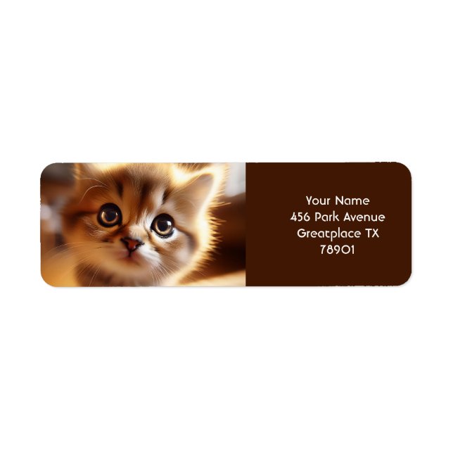 Etiqueta Fantasía Cute Cloes Pequeño Gatito (Frente)