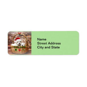 Etiqueta Felices Fiestas: Cachorros de Malta