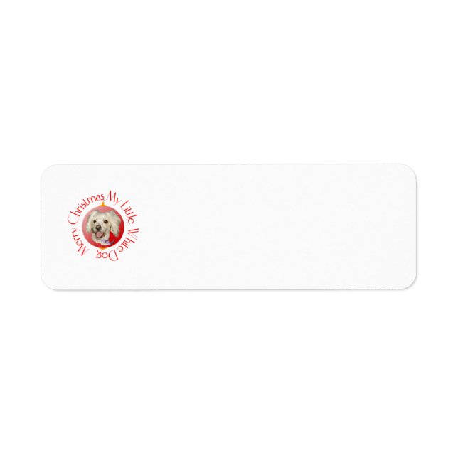 Etiqueta Feliz Navidad Perrito Poodle / Bichon Blanco (Frente)