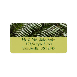 Etiqueta Fern Fronds II Naturaleza verde oscura