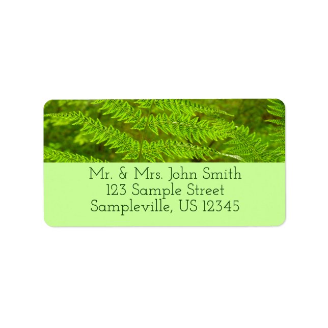 Etiqueta Fern Fronds III Naturaleza verde Botánica (Frente)