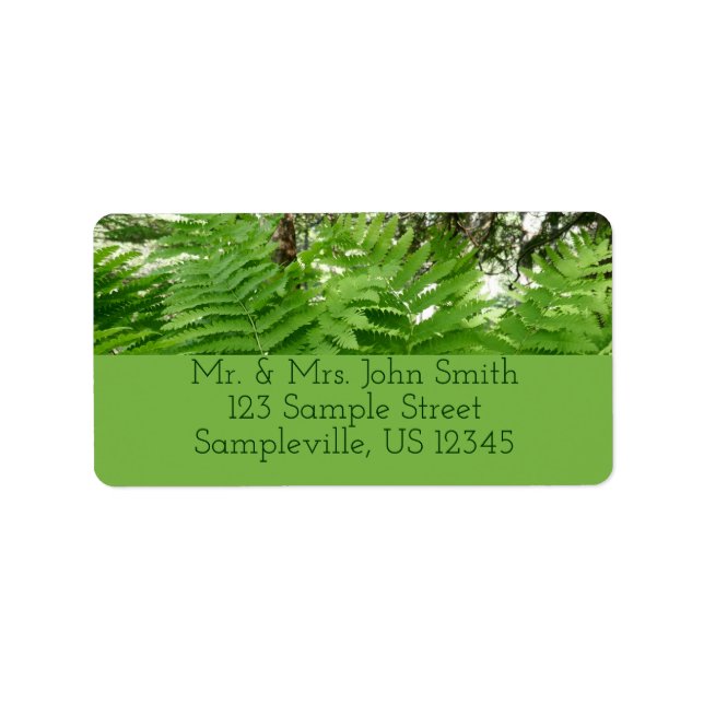 Etiqueta Fern Fronds IV Naturaleza verde Botánica (Frente)