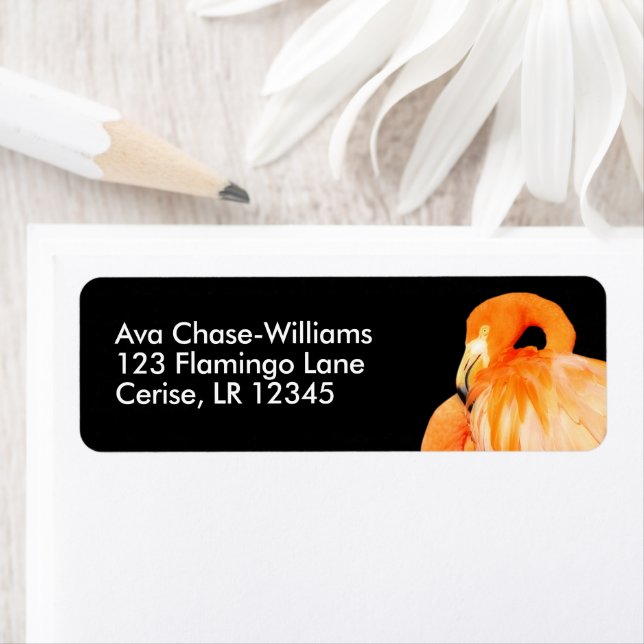 Etiqueta Flamingo en el sol de verano (In situ)