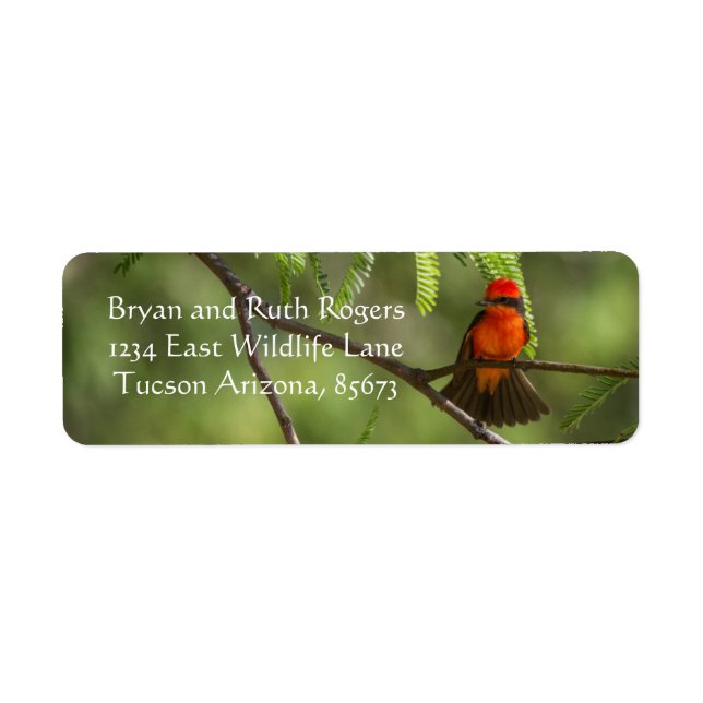 Etiqueta Flashy VermilliFlycatcher (Frente)