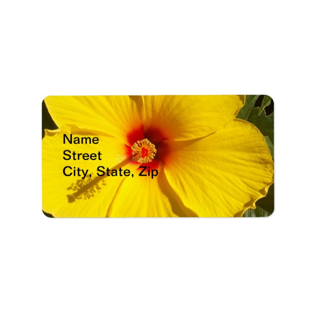 Etiqueta Flor amarilla hibiscus (Frente)