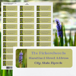 Etiqueta Flor Botánica Floral de Pickerelweed Morado Lila