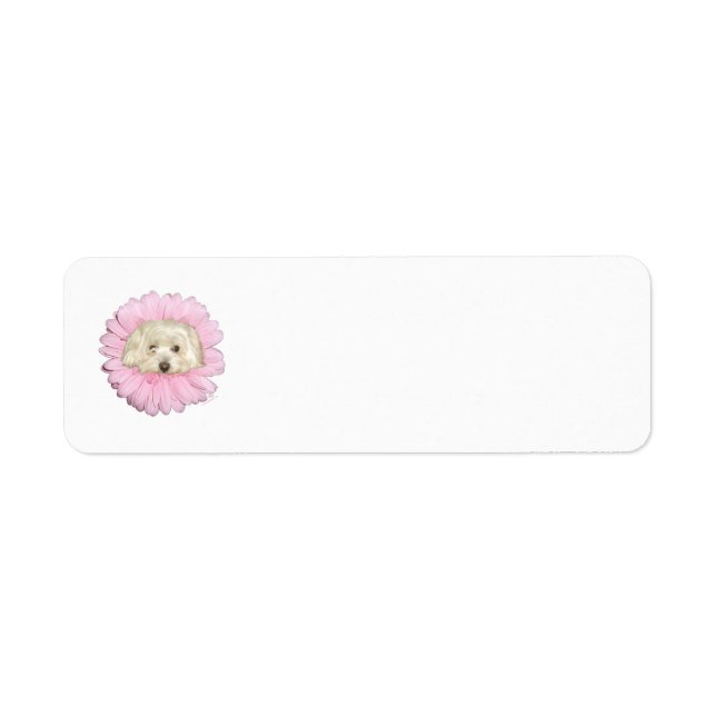 Etiqueta Flor Coton de Tulear Springtime (Frente)