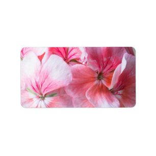 Etiqueta Flor de geranio rosa