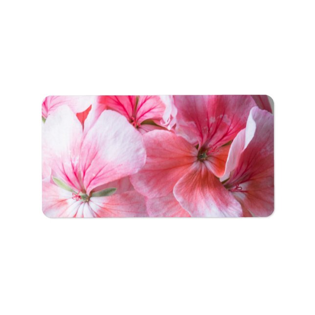 Etiqueta Flor de geranio rosa (Frente)