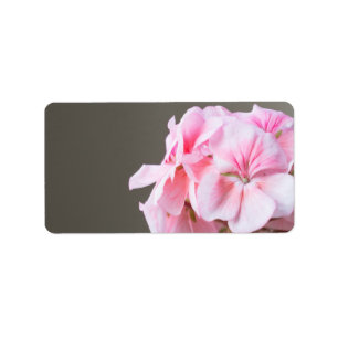 Etiqueta Flor de geranio rosa