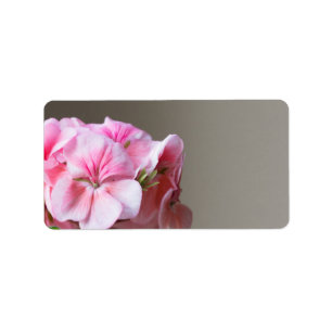 Etiqueta Flor de geranio rosa