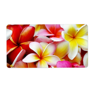 Etiqueta Flor de Hawaii del Frangipani del Plumeria