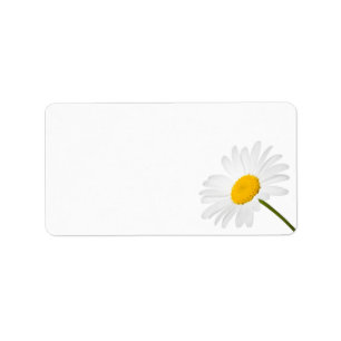 Etiqueta Flor de la manzanilla aislada en el fondo blanco
