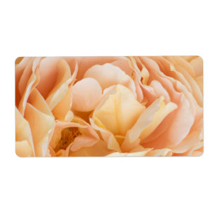 Etiqueta Flor de rosa amarilla