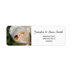 Etiqueta flor de rosa blanca y mariquita afortunada. Famili