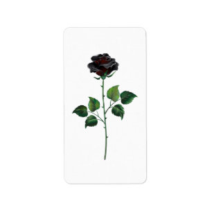 Etiqueta Flor de rosa negra