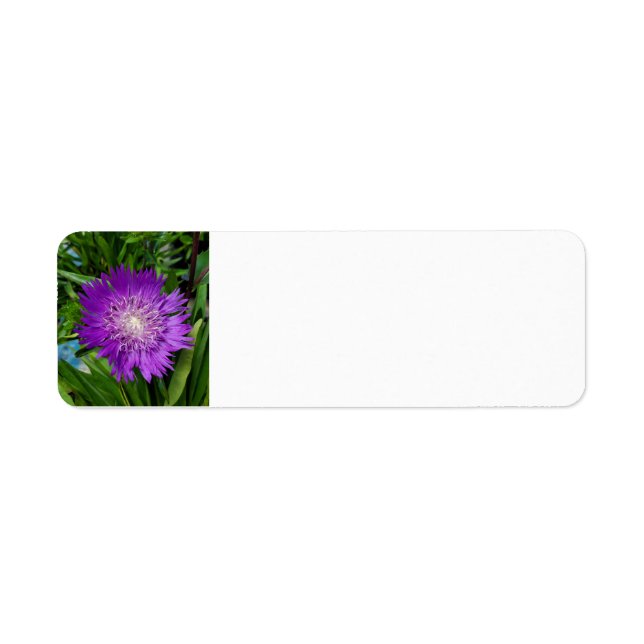 Etiqueta Flor morada (Frente)