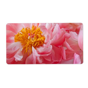 Etiqueta Flor peony de primavera rosada - plantilla Peonies
