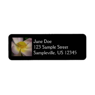 Etiqueta Flor rosa de Lotus I flor de verano