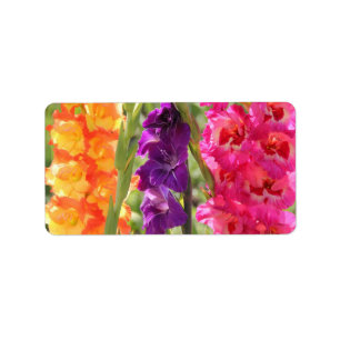 Etiqueta Floraciones hermosas del gladiolo