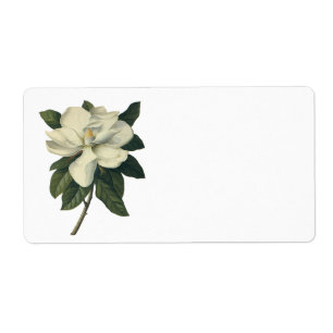 Etiqueta Flores blancas florecientes del flor de la