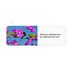 Etiqueta Flores de Bougainvillea