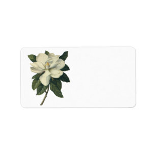 Etiqueta Flores de flor de magnolia blanca florecientes