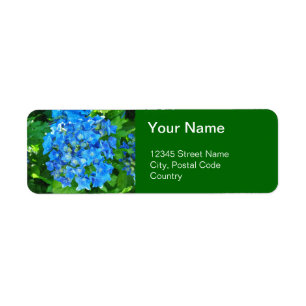 Etiqueta flores de hortensia azules de verano y sus hojas v