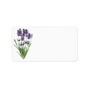 Etiqueta Flores de la lavanda aisladas en el fondo blanco