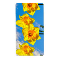 Flores de la Medalla de Oro de Daffodils