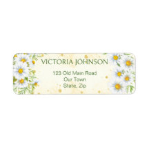 Flores de primavera de margarita salvaje amarillo 