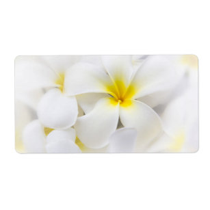 Etiqueta Flores florales del Plumeria del Frangipani blanco