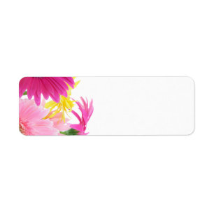 Etiqueta Flores Gerbera Daisy Piink
