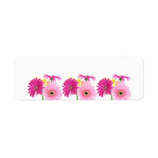 Etiqueta Flores Gerbera Daisy Piink (Frente)
