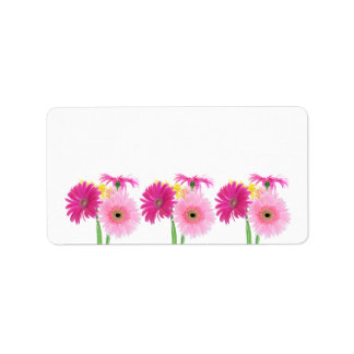 Etiqueta Flores rosadas Gerbera Daisy