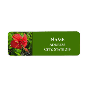 Etiqueta Flores tropicales: floral de la isla rosa brillant