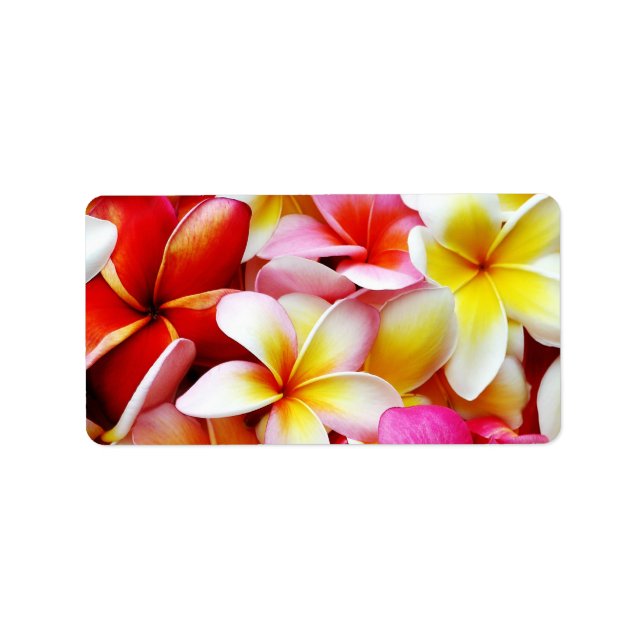 Etiqueta Flower Hawaii Personalizada Plumeria Frangipani (Frente)