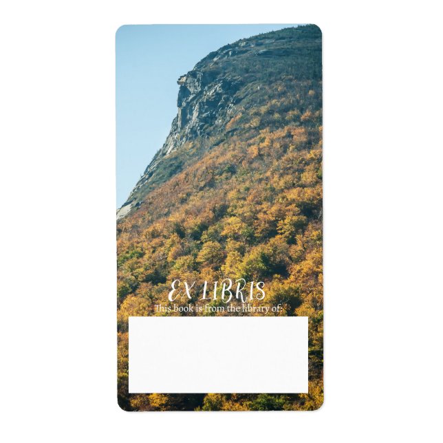 Etiqueta Folleto abierto de otoño (Frente)