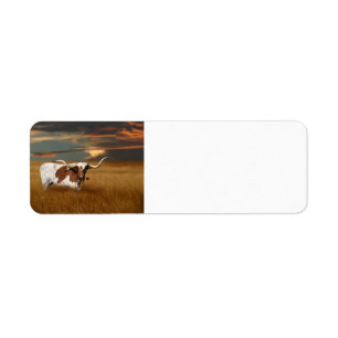 Etiqueta Fonolocalizador de bocinas grandes