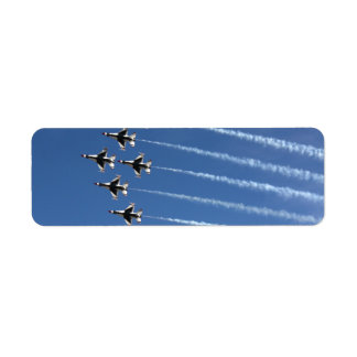 Etiqueta Formación delta F-16 Thunderbirds