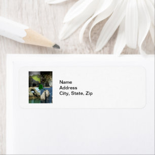 Etiqueta Formaciones rocosas y cuevas en el poblado de Alas