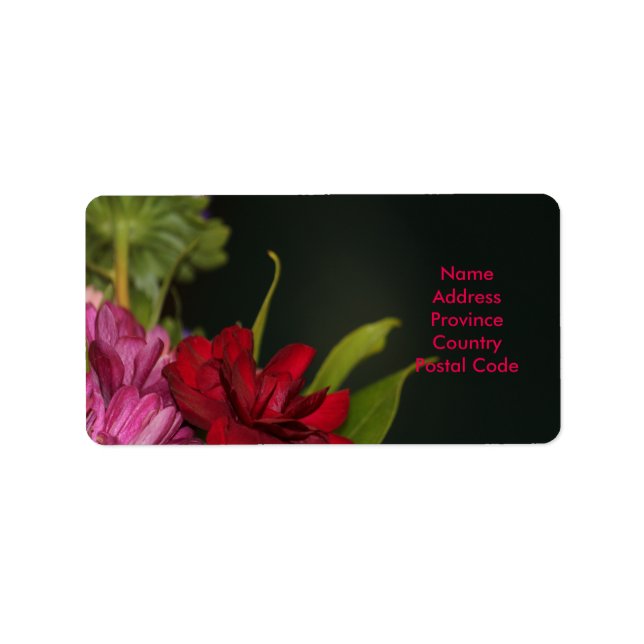 Etiqueta formal más reciente (Frente)