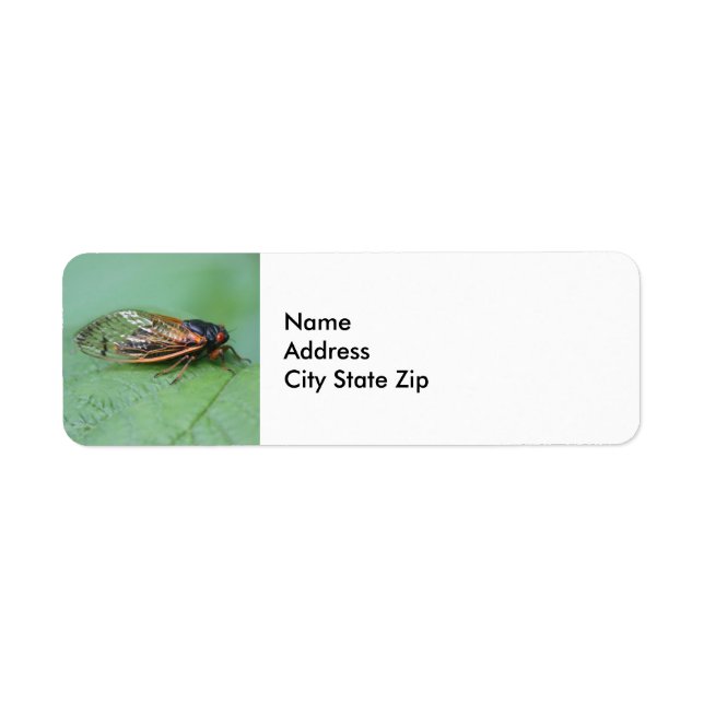 Etiqueta Foto Cicada (Frente)