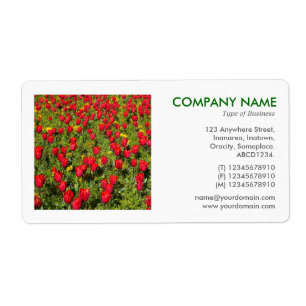 Etiqueta Foto cuadrada - Cama de tulipanes